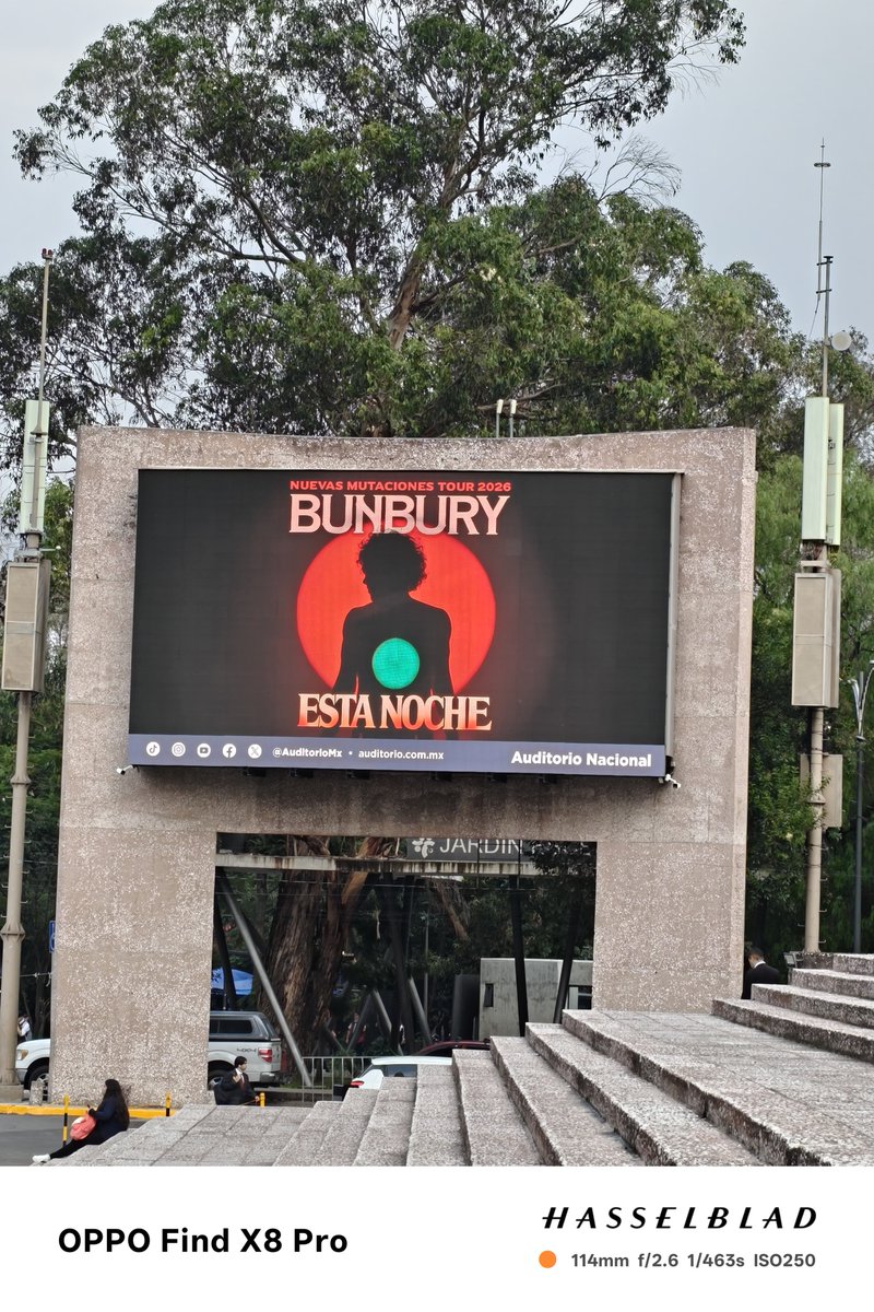 MWALKIRYEBUNBU1's tweet photo. @bunburyoficial Presente Maestro https://t.co/tLDvO8X4yn