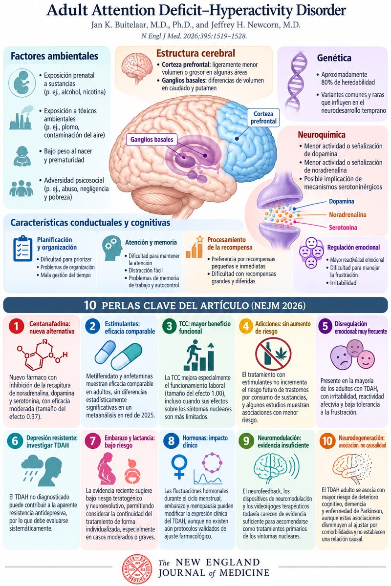 carlos_arnaud's tweet photo. Bonita infografía hecha por un colega #Enlacista
sobre este artículo sobre #TDAH 

La lectura completa del artículo por supuesto es un deleite!

Las #Mujeres tardan 4 años más en ser diagnosticadas con #TDAH que los #Hombres 

Tratamiento 1era línea en Adultos
#Metilfenidato https://t.co/H7zSwDCXQX