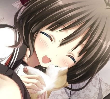 AngelsPipu's tweet photo. intro 🪖🪽 | #moothunt #edtwt 

= 170cm | INTP | 05
=  likes: drawing, cookies, plushies and cats
= dislikes: I dunno, mean people, antis etc
(⁠つ⁠≧⁠▽⁠≦⁠)⁠つ

let's  be moots! (copy paste btw) https://t.co/yDeopHxNPQ