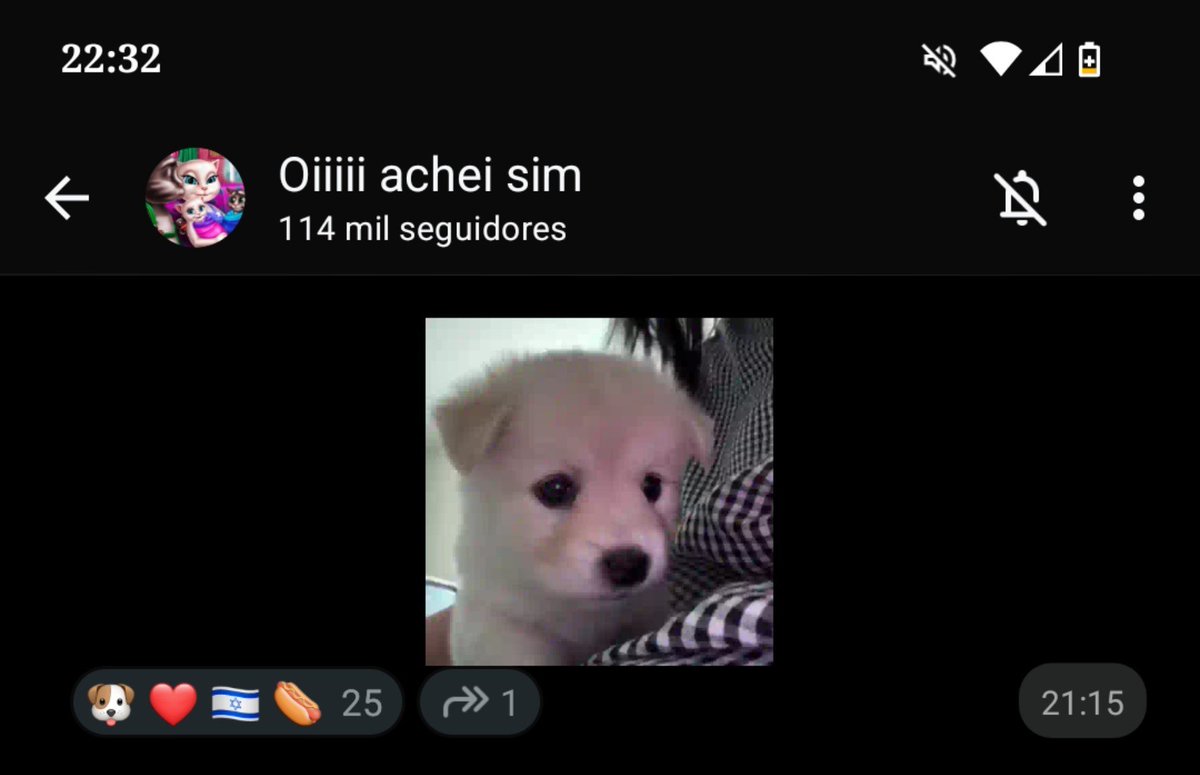 limarqx_l's tweet photo. pq tão chamando o cachorrinho de israelense 😭 https://t.co/BnGtmRG40J