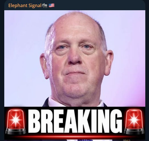 ElephantSignal tweet picture