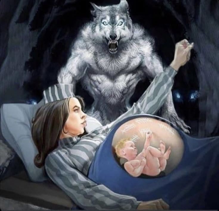 RealConorOil's tweet photo. 24 hours without the Kamala Harris Hyena Porn subreddit https://t.co/EAatDyznDI