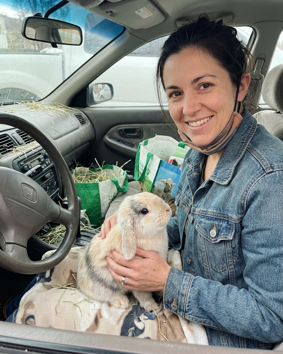 rezenderav5y3's tweet photo. Not me trying to explain to the car detailer that the hay is “structural” now. Share this if you’ve given up on cleaning. New drop live. @bunnylovers. page https://t.co/WBM1rwxZDs