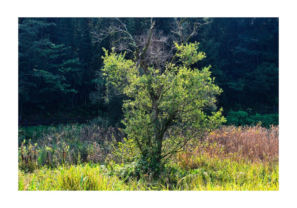 teruyan002's tweet photo. .
『風景写真』

刻露清秀

#風景写真 #Landscape
#japan https://t.co/KBLRZ8zosT