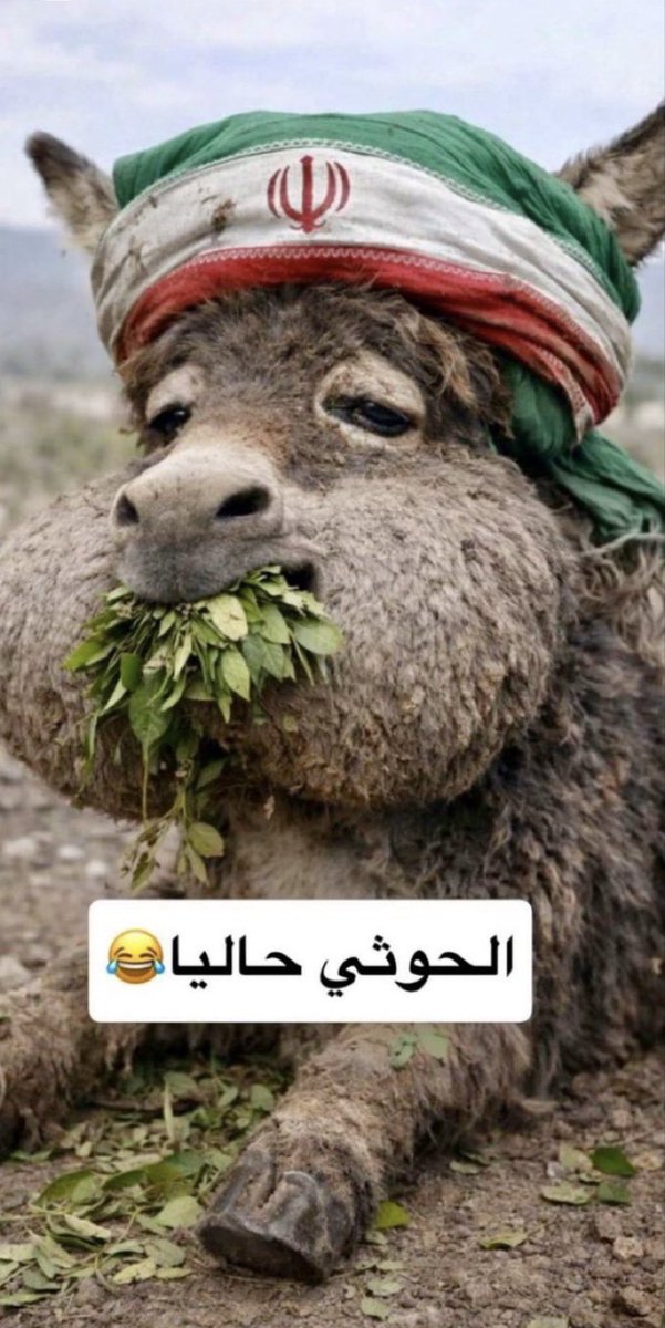 ManBeeb's tweet photo. @Dargham415 https://t.co/Z2NoNS4FMc