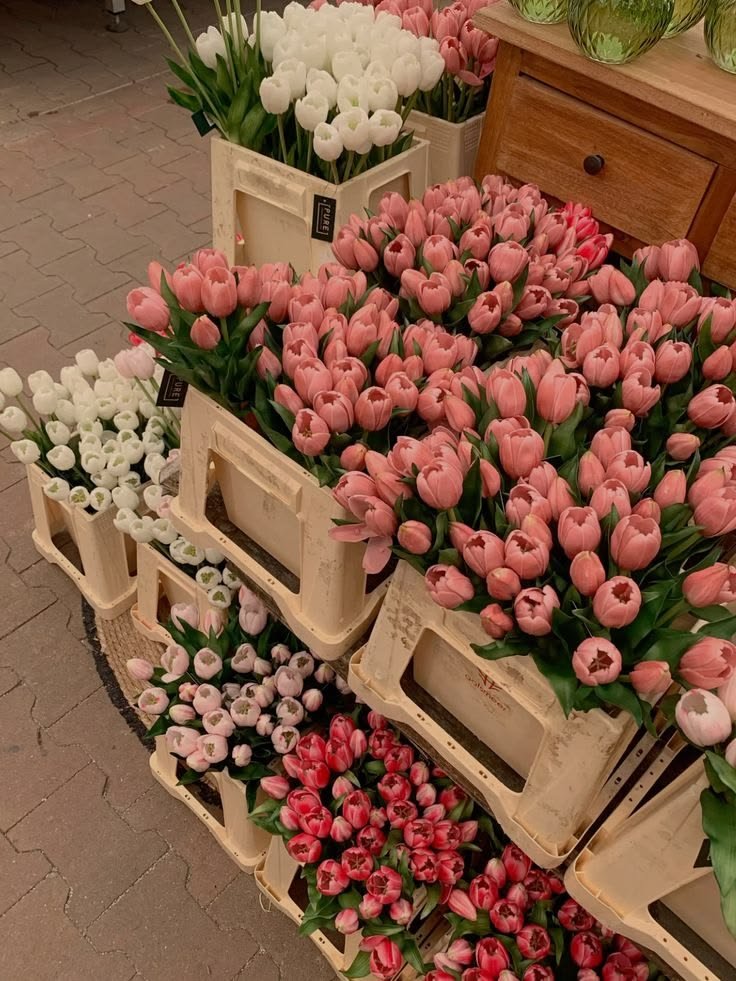 Flowersidmb's tweet photo. https://t.co/kEujOen9YX