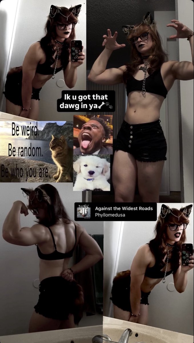 protienpuppy's tweet photo. Would say happy halloween but im a dog all year round >\\< https://t.co/jPvPXnvYZ4