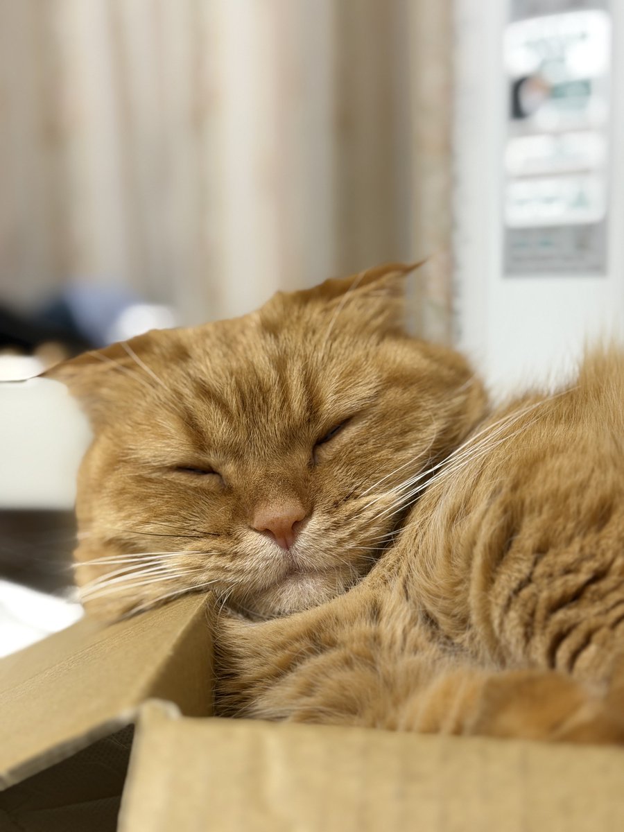 aromahotExtreme's tweet photo. 朝起きた時最初に見る景色 https://t.co/j6CLUE3MJg