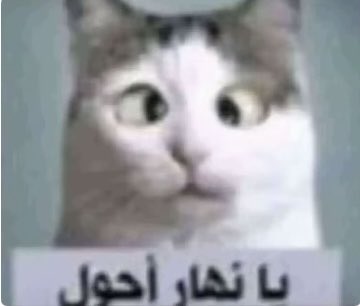 ezhran_'s tweet photo. @96_tax ههههههههههههههههههههههههه ياااااربي متتتت https://t.co/SSFMPrNPqw