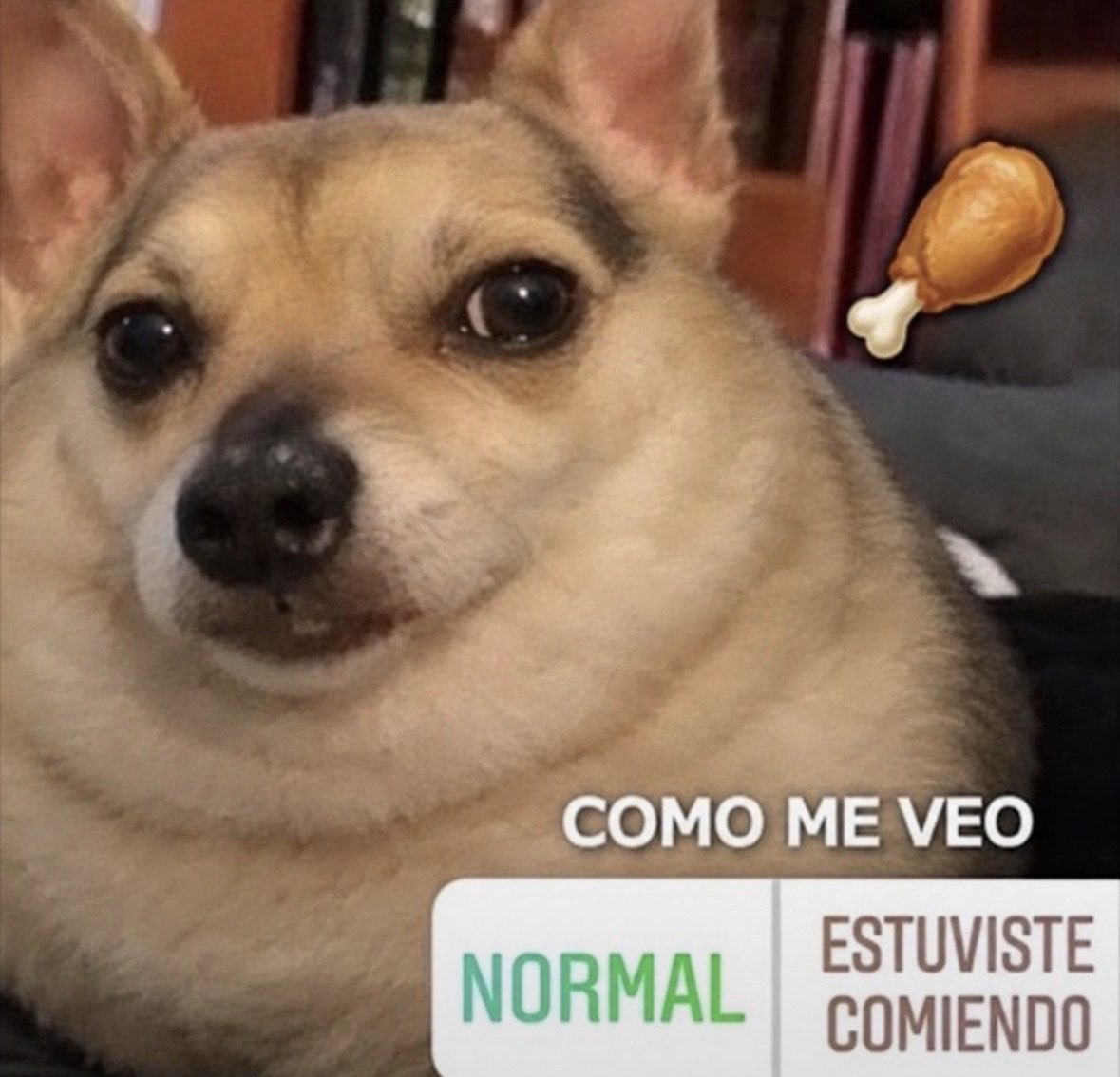 len4gi's tweet photo. así me siento después d un atracón https://t.co/QIcPuXBRok