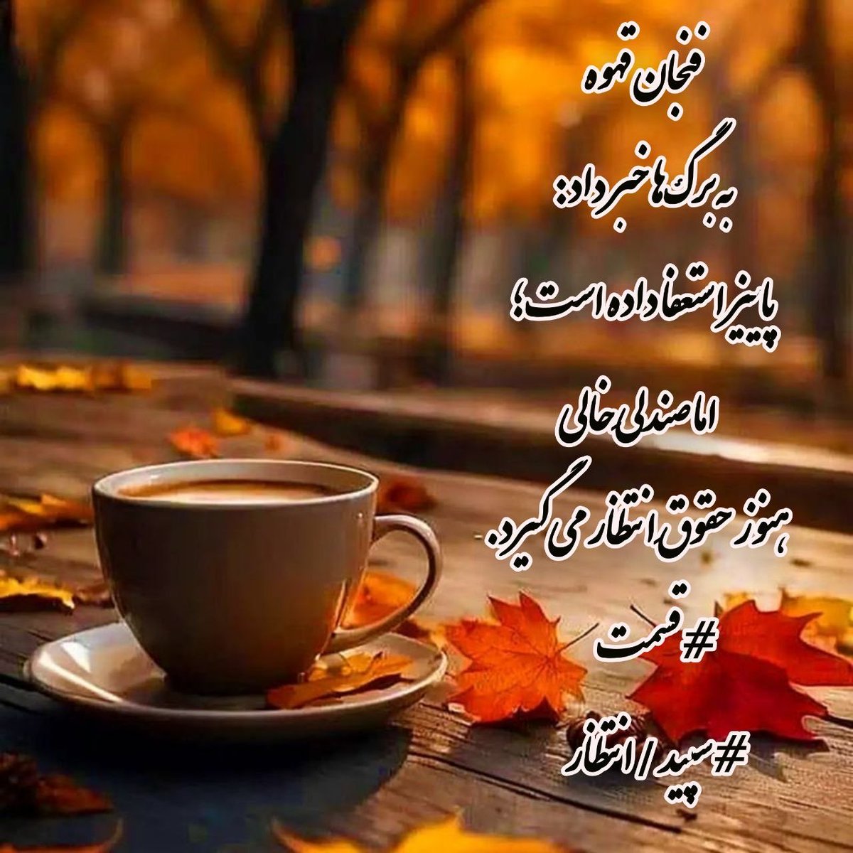 HAMSHAGERDIY's tweet photo. فنجان قهوه 
به برگ ها خبرداد: 
پاییزاستعفاداده است؛ 
اما صندلی خالی
هنوز حقوق انتظار می کرد. https://t.co/PVljaAVUQz