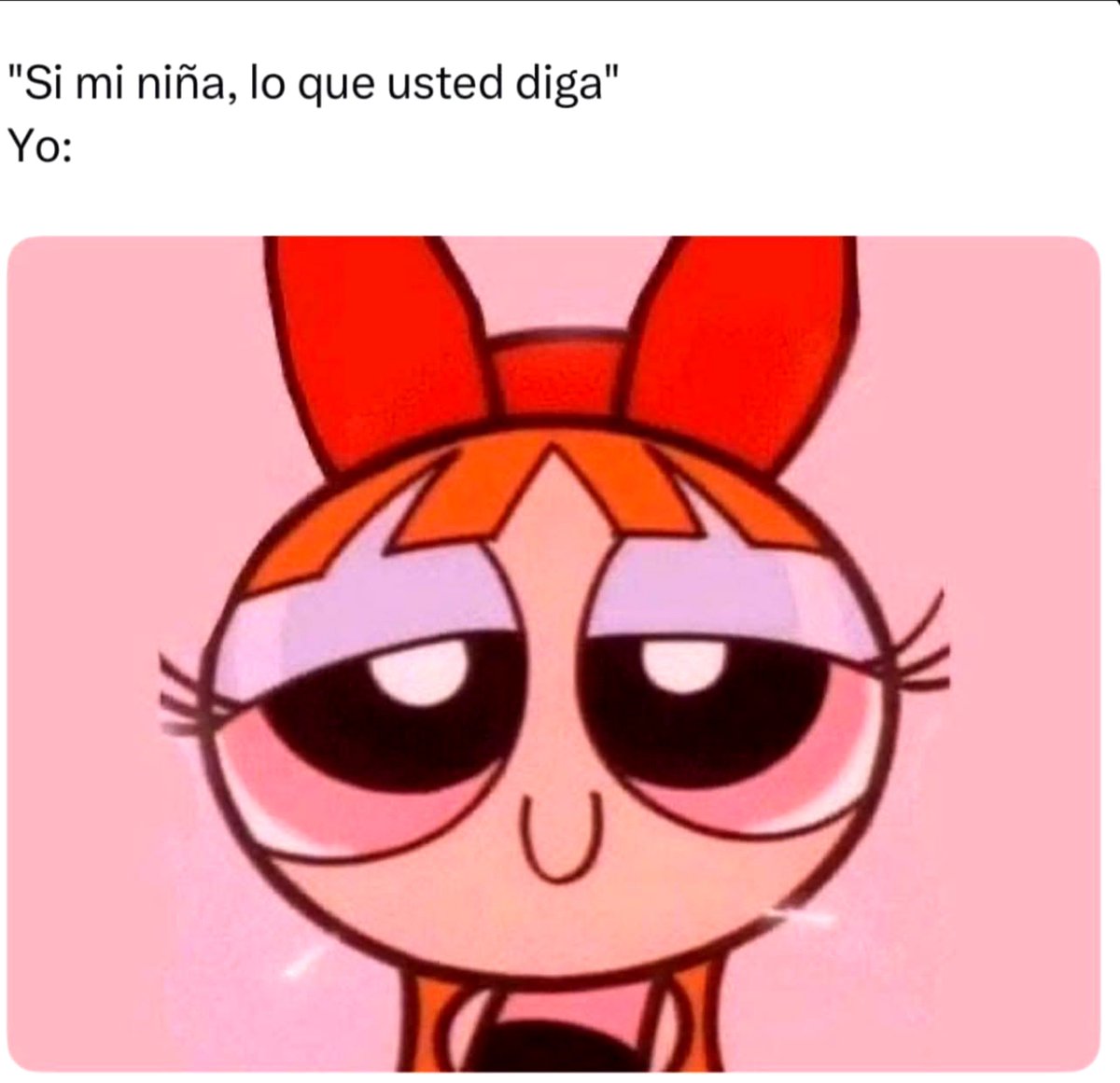 Estrellitaa31's tweet photo. 😍😍😍 https://t.co/9YZkYF1LTi