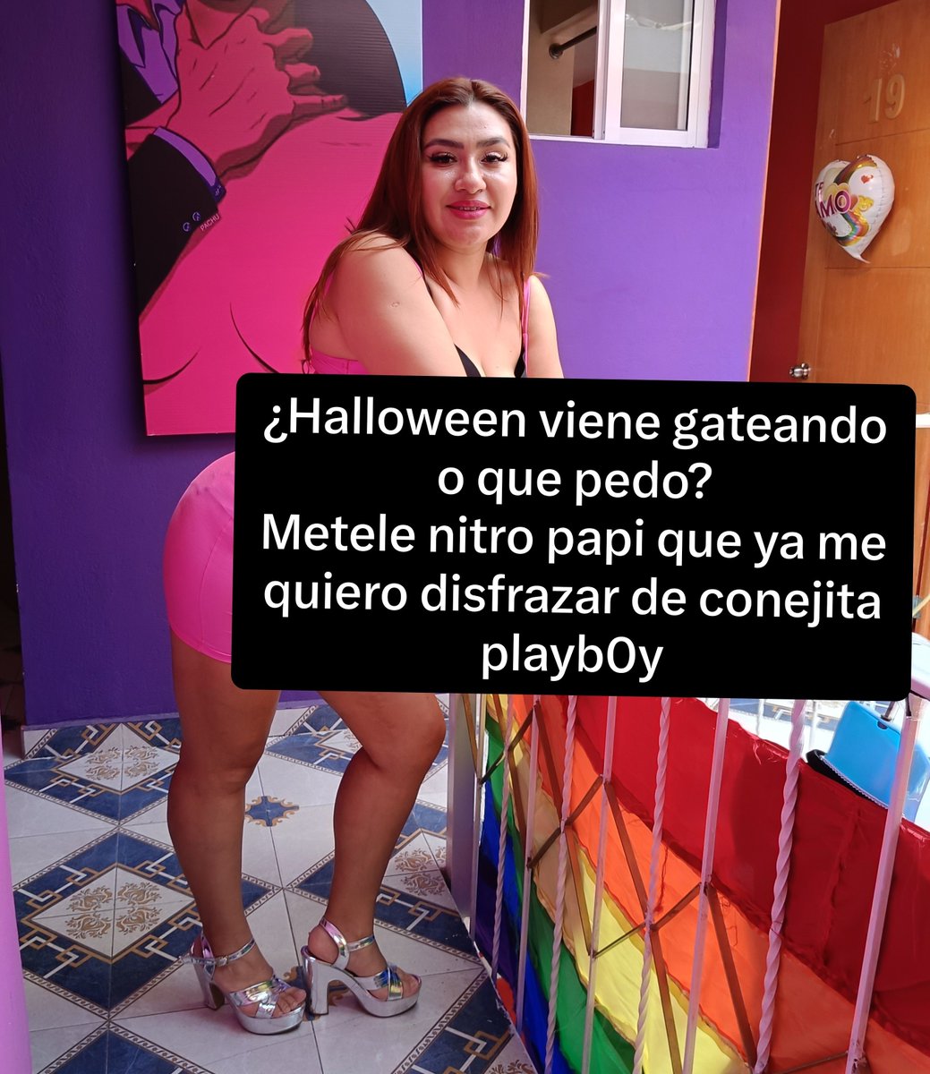 lindasanzshow's tweet photo. ¿Halloween viene gateando o que pedo?
Metele nitro papi que ya me quiero disfrazar de conejita playb0y https://t.co/13qoad2oZ4