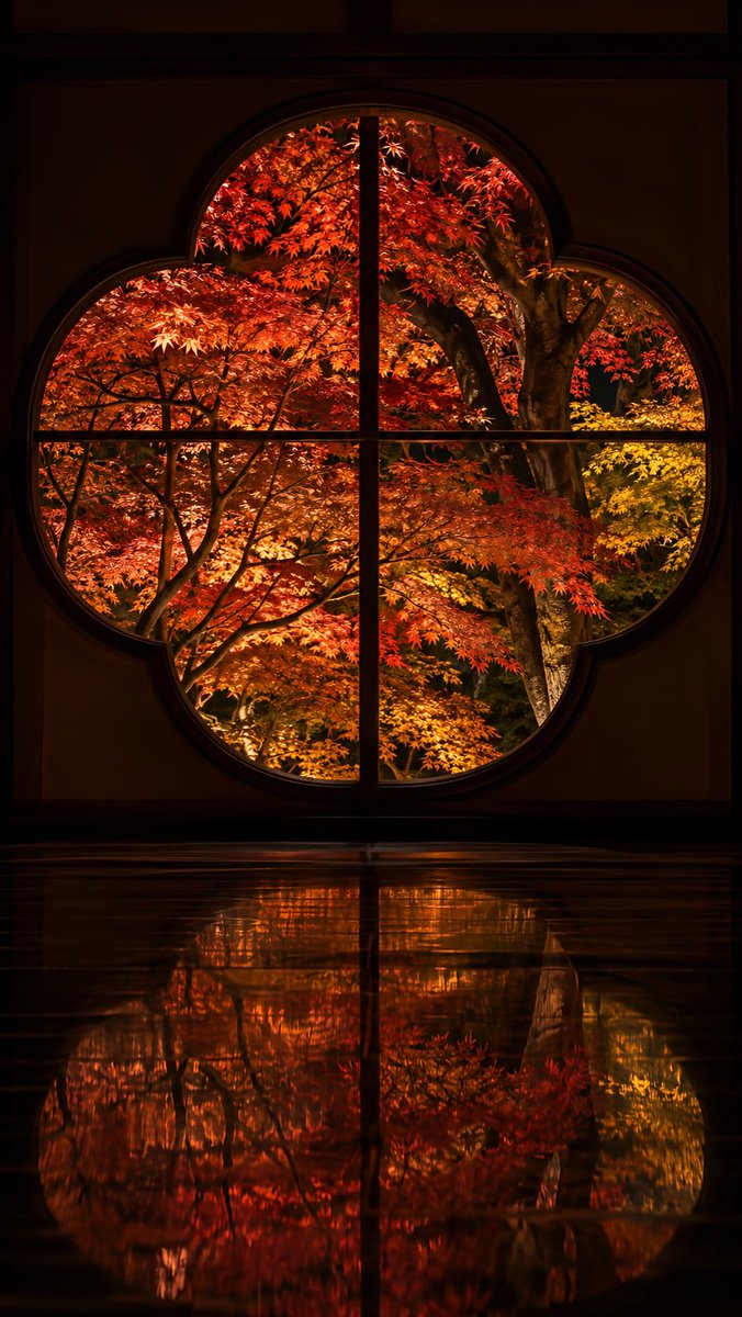 _ai_nature_art's tweet photo. 紅葉のライトアップで、秋の景色が美しく染まっていきますね🍁🏮 https://t.co/hTMlggNbLm