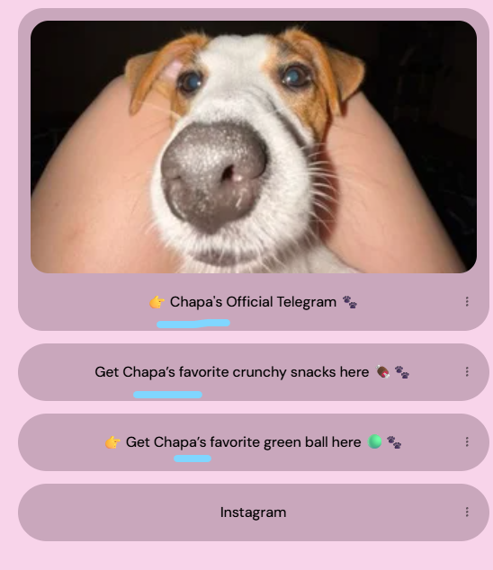 phenixsdev's tweet photo. Theres a new dog PFP cult on IG with 30m views in the last few weeks

This is Chapa and its going SUPER viral literally becoming a cult of fans switching their PFP

https://t.co/trNRu67pFF

Name is on the link tree https://t.co/o38vt3HJ4Y