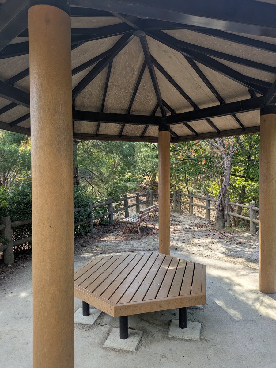 we_love_miso's tweet photo. 虹の丘公園に行ってきたゾ
なお当職はカツドンチャンネルは8期しか見てないのでそんなに知らない模様 https://t.co/meu1jAaUeF