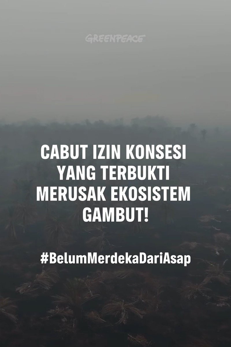 arutomako's tweet photo. Indonesia is still on fire 🆘

Hold the government and these companies accountable, sign petitions where you can, or go down to the street and join mass protests.

Help out communities affected on the ground, donate or volunteer your time. https://t.co/2h2l3Ywqn6