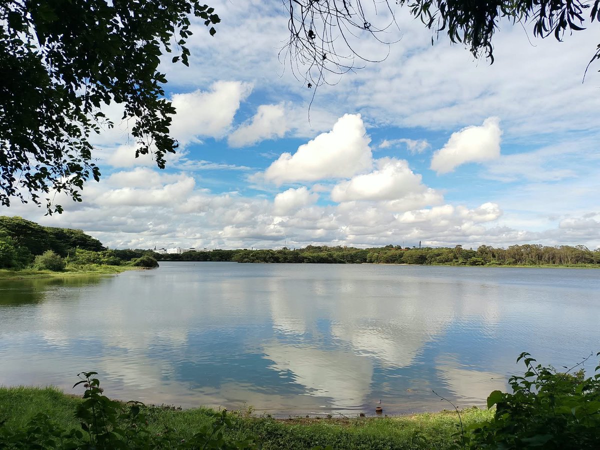 blindlucas123's tweet photo. @MumbleBubble_VT A lake near my house https://t.co/jE4pGzIULs