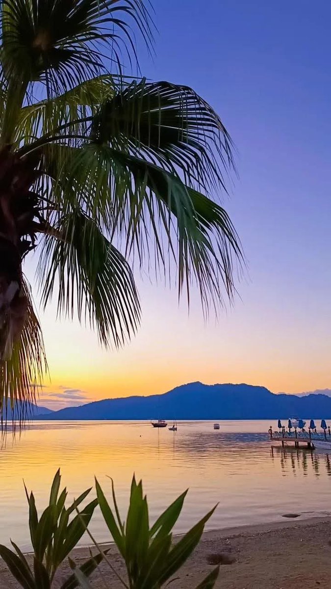 ali_kiyak35's tweet photo. Günaydın💙

#Cuma 

İyi sabahlar 🌴🌊⛵️ https://t.co/FtGlOxvO6C