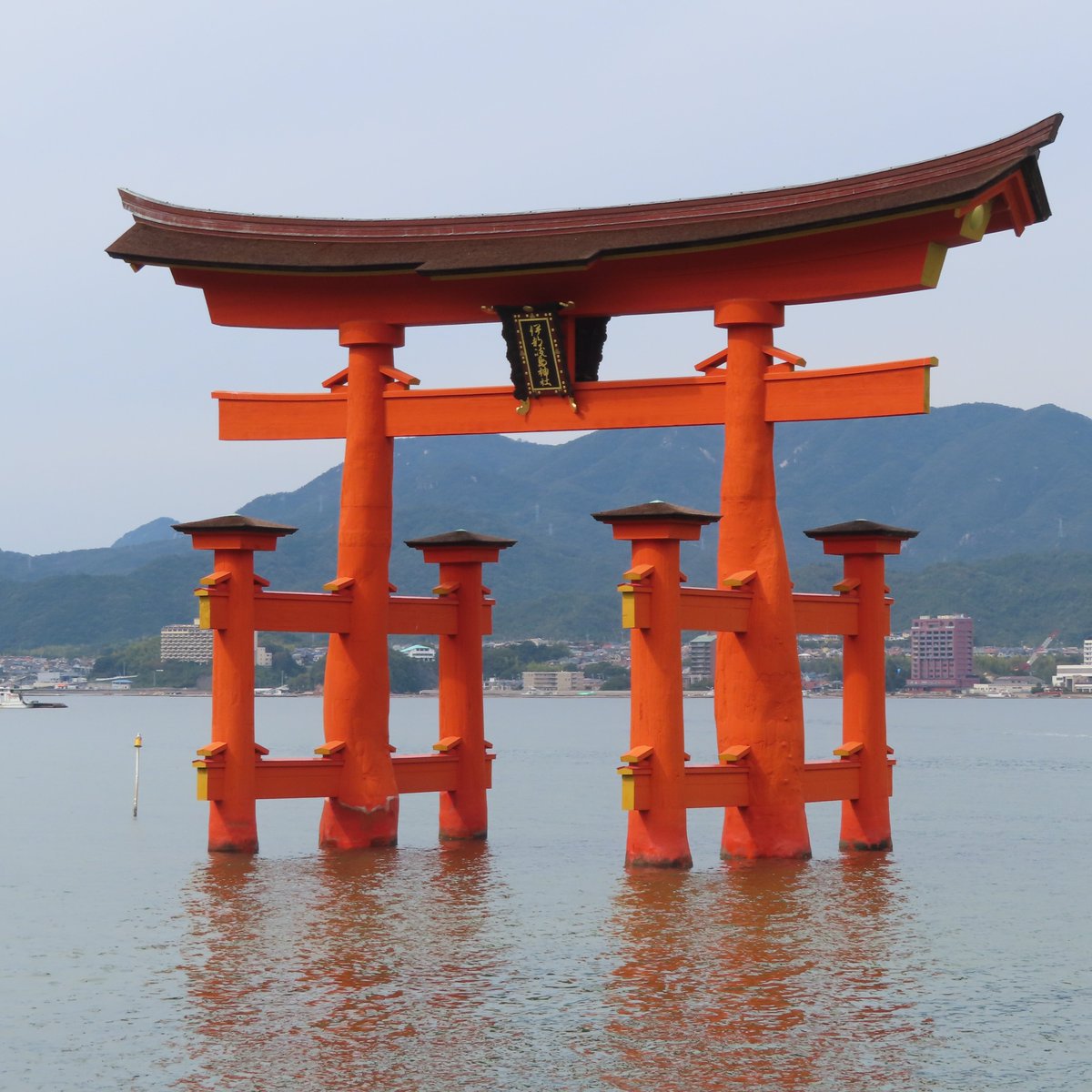 sirius0209's tweet photo. 10/16
宮島厳島神社⛩️
外国人だらけでここは日本って感じ
御朱印貰うのに1時間並びました😞
おまけに生牡蠣食べたらお腹調子悪い https://t.co/TCRJVcFl9q