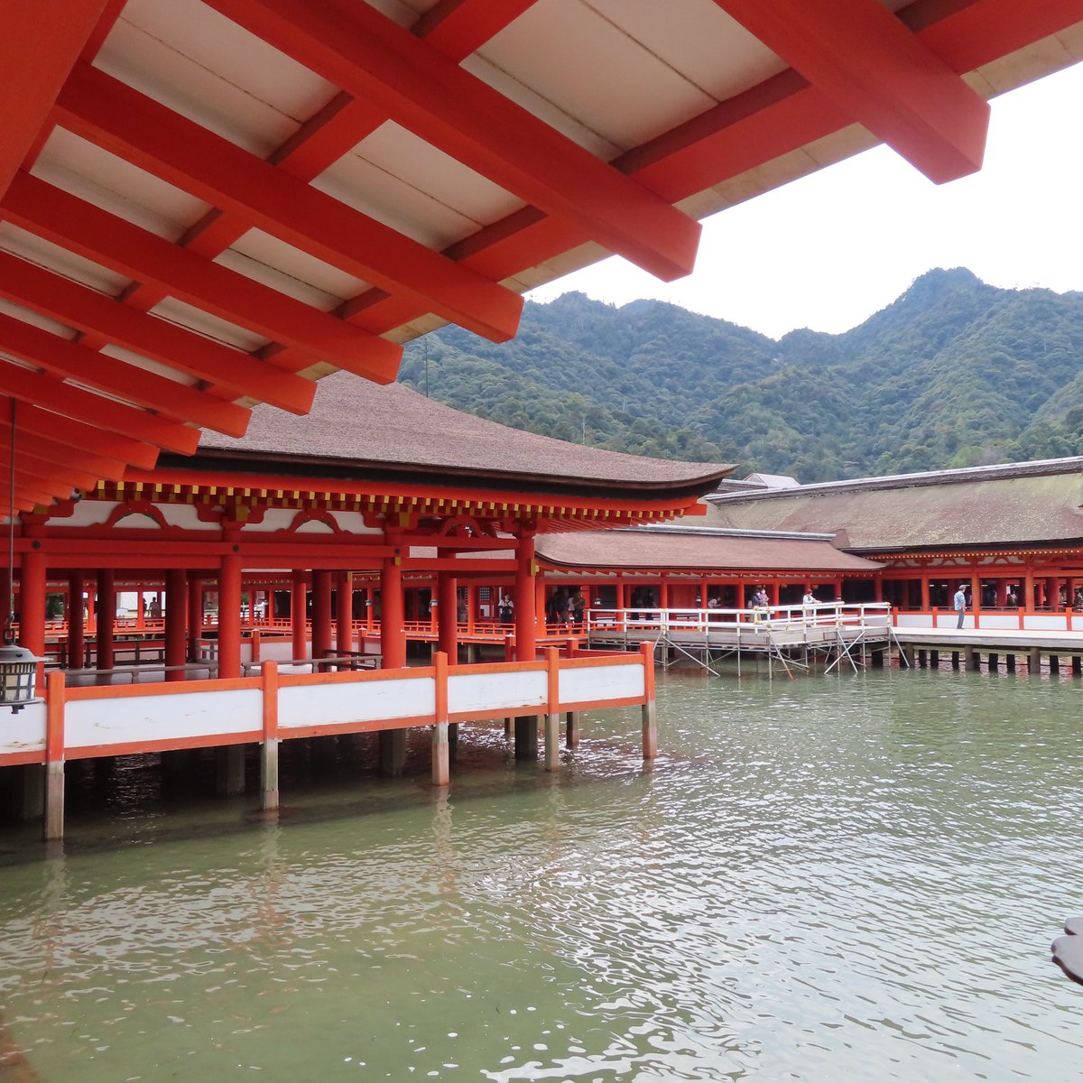 sirius0209's tweet photo. 10/16
宮島厳島神社⛩️
外国人だらけでここは日本って感じ
御朱印貰うのに1時間並びました😞
おまけに生牡蠣食べたらお腹調子悪い https://t.co/TCRJVcFl9q