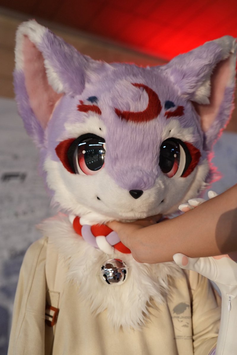 MoxonFox's tweet photo. #FursuitFriday
如果真的觉得我傻狐狐的，可是会吃大亏的哦～
📷荷稻
#furry #兽太 https://t.co/um5up784pf