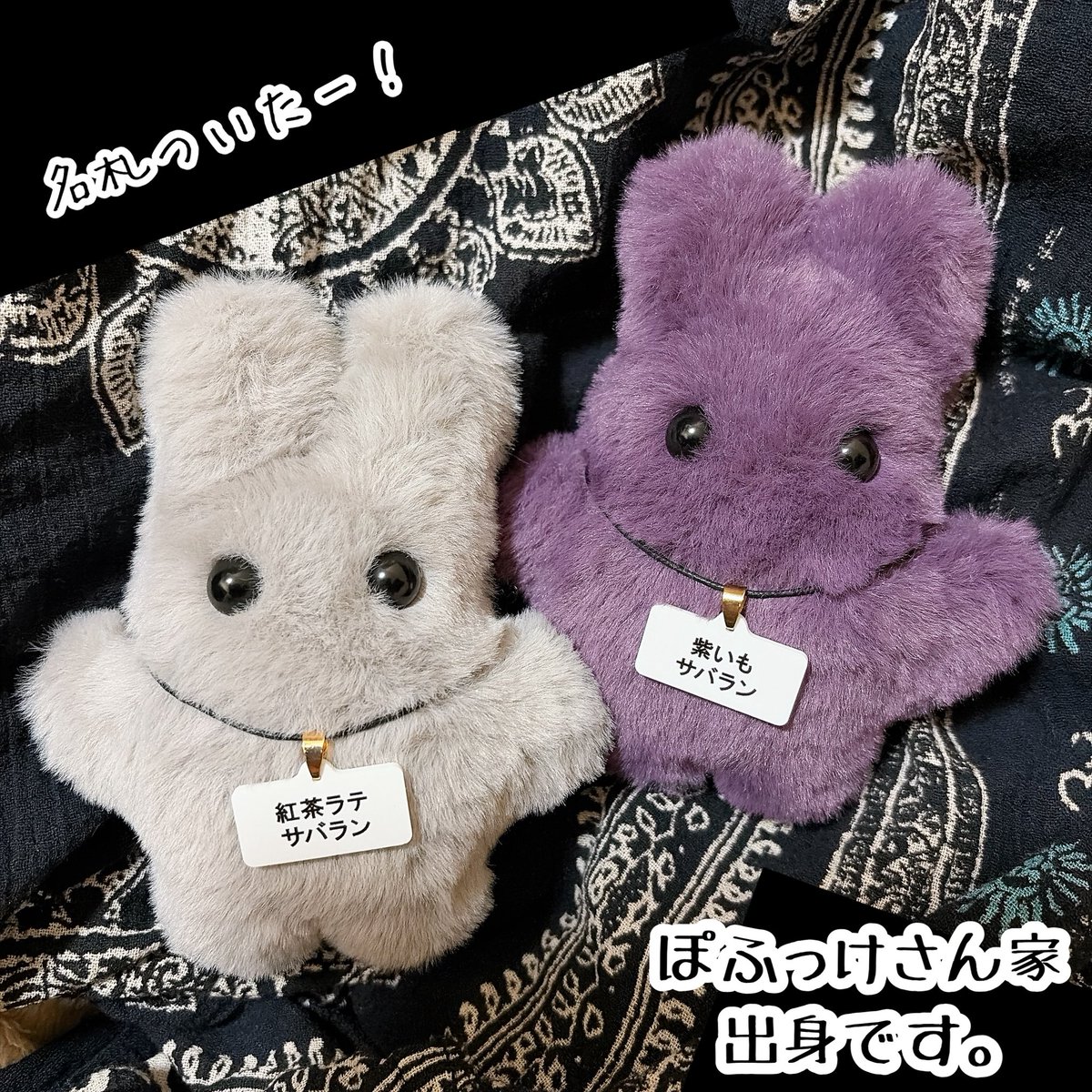 k68253449's tweet photo. この子たちのきょうだいを迎えられるのはこちら↓

引用元ご覧下さいね🐰🐰

#ぽふっけみっけ https://t.co/1Is6S49DwL