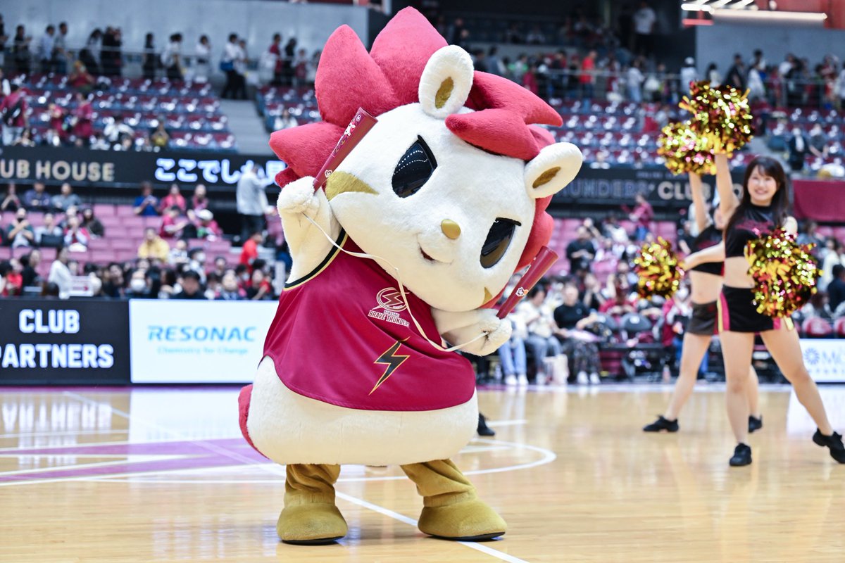 brave_thunders's tweet photo. ＼オールスター総選挙 「ファン投票」スタート🗳️／

2027年1月に行われる「りそなグループ B.LEAGUE ALL STAR GAME」のスターティング 5を決定する「ファン投票」がスタート🎊

詳細はこちら👉
https://t.co/C1GO5EbfR8 https://t.co/ZFd8i4bXCz