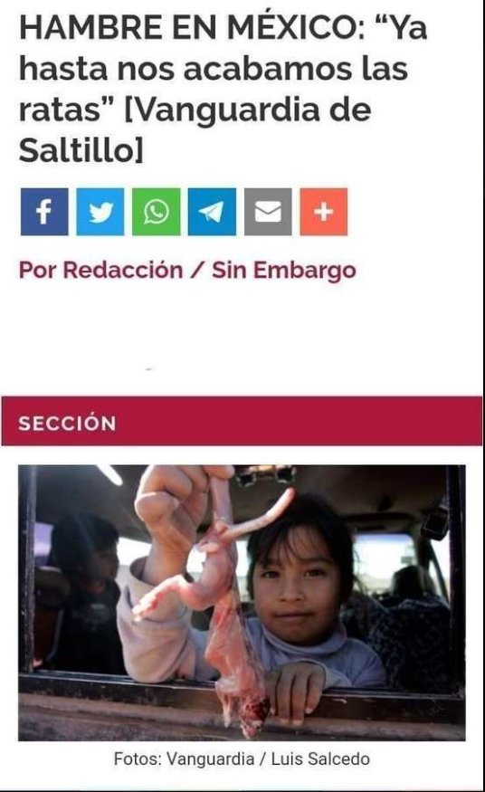 Bernando56's tweet photo. @Gilley_Sealmon @dilewow Me pregunto si en su país se comerán a los desaparecidos o sólo vivirán de la verga de los gringos https://t.co/l0BQhR1K5x
