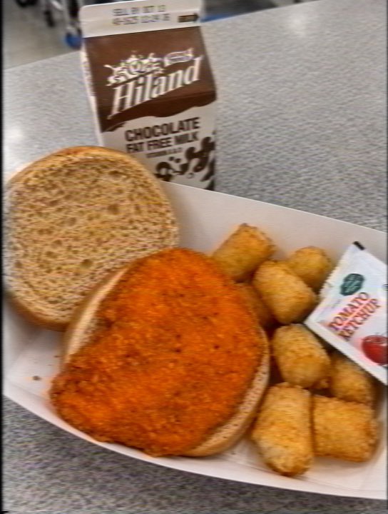 NostalgiaYZ's tweet photo. The spicy chicken sandwich they used to serve at school lunch. https://t.co/92O1acISml