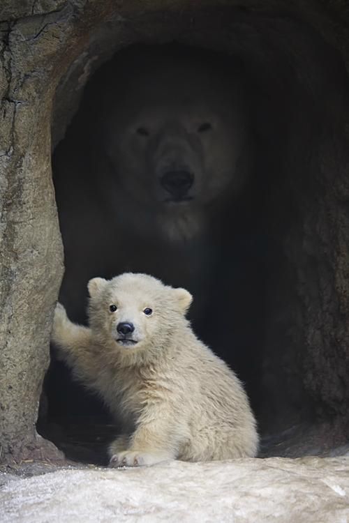 bearswords7sxf's tweet photo. https://t.co/n2EpFSt5eE