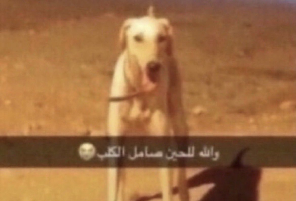 aa7sjj_'s tweet photo. @QUe49H شوف اقبح صوره https://t.co/zp6YCytlah