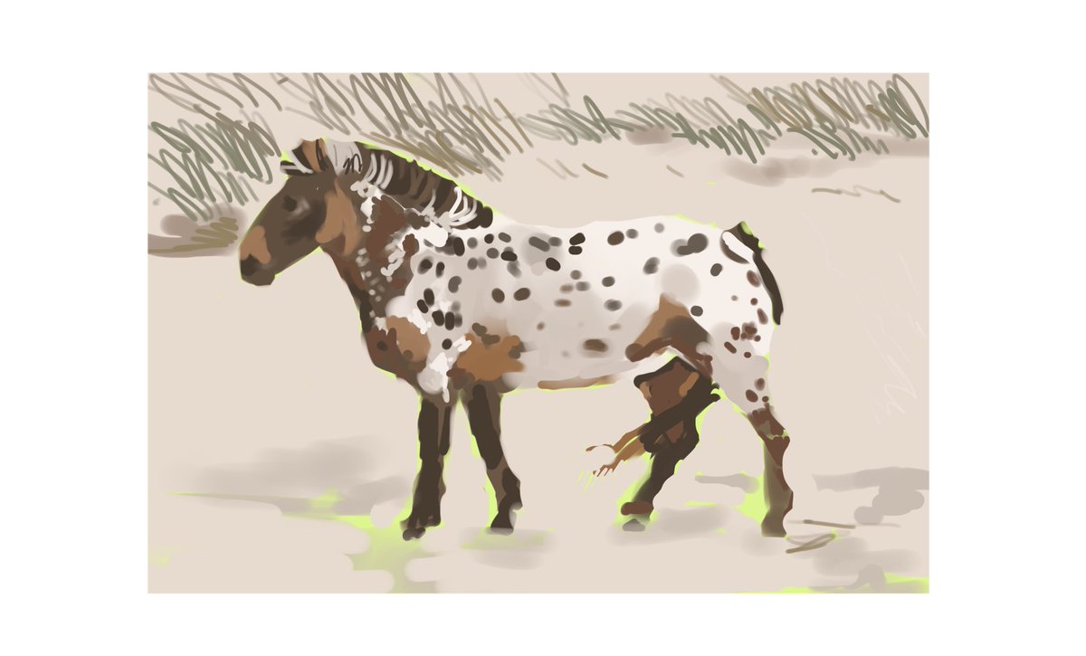 lwiosoo's tweet photo. horse #studies https://t.co/10wxATZ70K