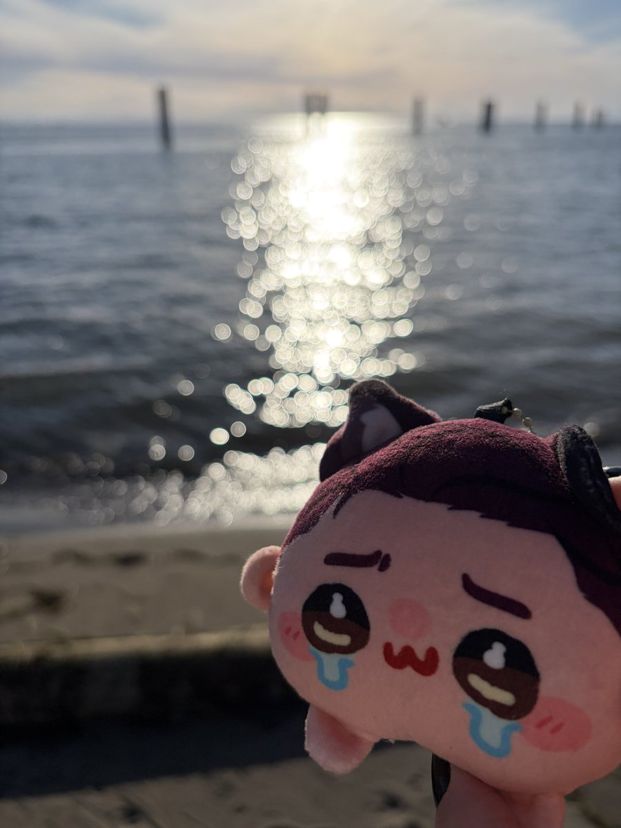 pureluvwolfking's tweet photo. @sourbabyapple He’s enjoying the beach 🥹🤞 https://t.co/r1XyLLwl0z