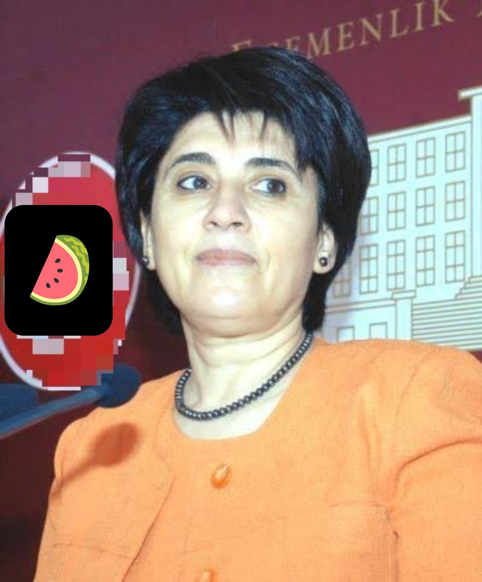 AXAAXEEL's tweet photo. "Leyla Zana: Kürt ulusal davasının sembolüydün ama ihanetin sembolü oldun rahmetli kocana bile ihanet ettin aponun tahişesi oldun https://t.co/IZEnPMbdgL