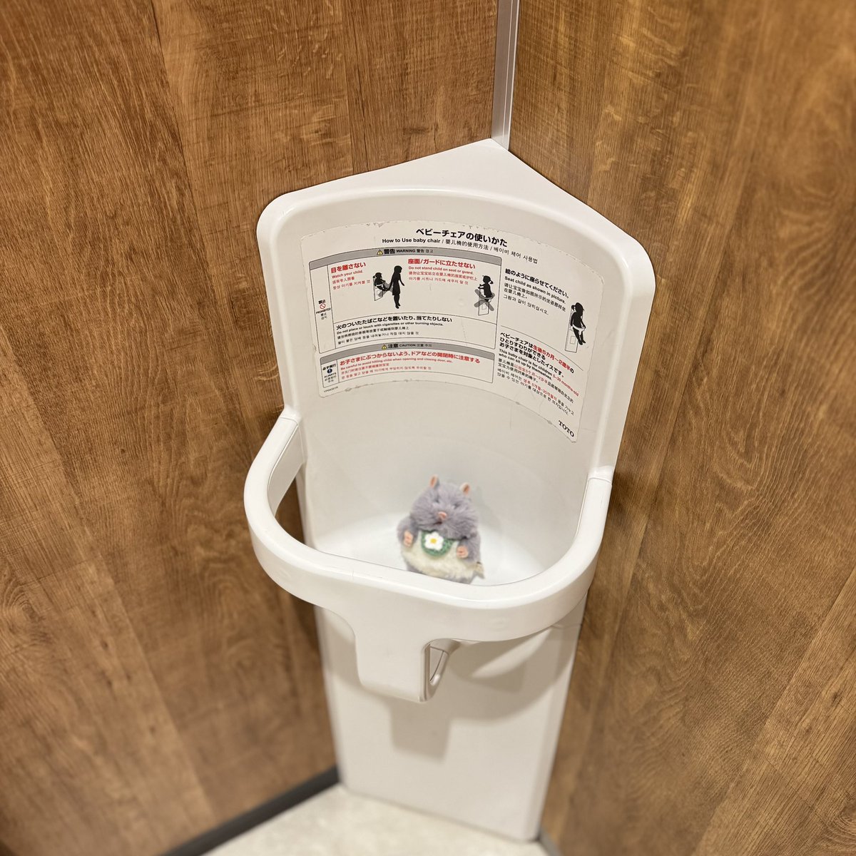 ___0530r's tweet photo. 🚽 : ロネお利口さんでした 🧻 #はむにぎり https://t.co/5hIwq2rD5f