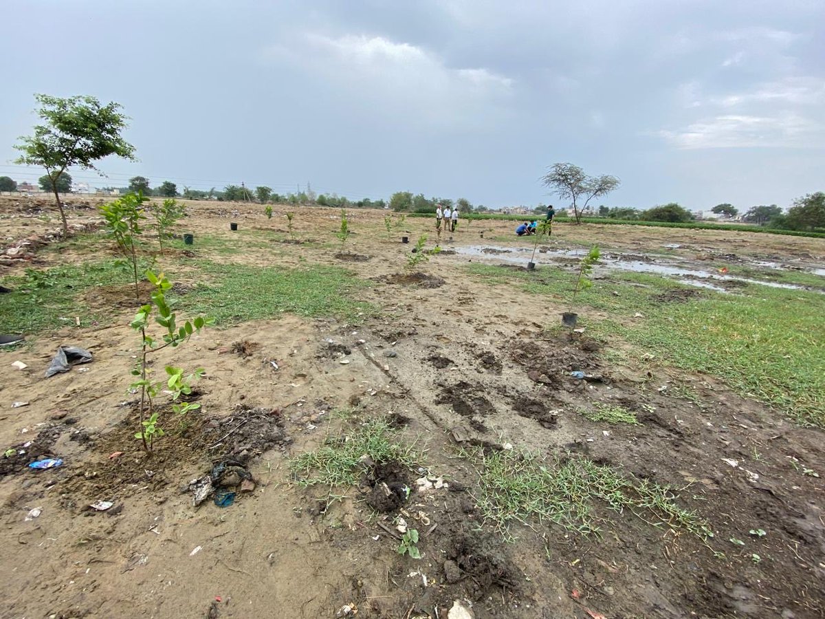 Hardisohi's tweet photo. There was a legacy waste of 30 years in Jalandhar Cantonment which was not touched by anyone as it was in a corner and foul smell emanated from the area. 

My team put in Herculean efforts and the land was reclaimed. Tree plantation was done and it was made a park for people to take walks.

When there is a will there is a way.
Jai Hind 🇮🇳🫡
#SwachhBharat
    Before Cleaning.           After Cleaning.