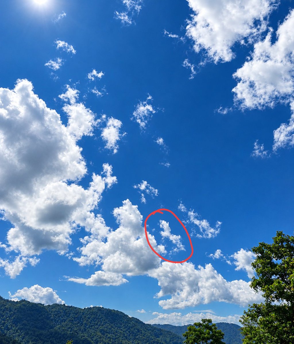 XandraC89495's tweet photo. Cloud horse 😱 https://t.co/xszhPWR0tz