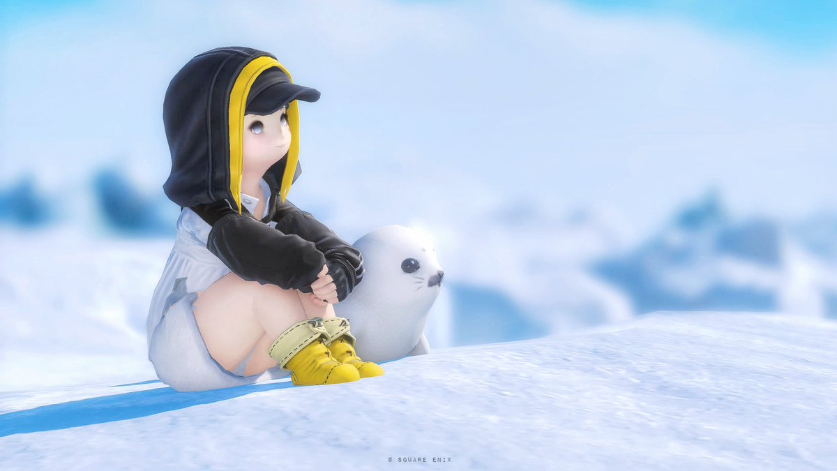 snoweu_xiv's tweet photo. おやすみまであと半日…🦭 https://t.co/Z67RWs5XOm