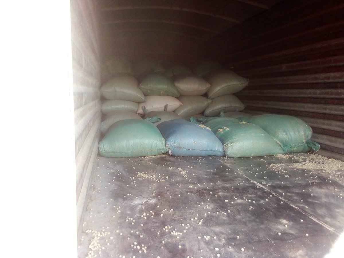 HonKangata's tweet photo. Murang'a maize farmers are now selling their maize to Paleah Company, a Thika-based firm that has signed an MOU with Murang'a County Government.

Paleah  buys maize Kshs. 3,850 per bag- up from as low as Kshs. 2,000 per bag previously.

A guaranteed market for our farmers,increase earnings.