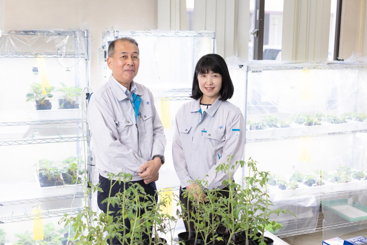 japan's tweet photo. What if just 0.2 seconds of light could help keep produce fresh? 💡🥬

A technology from Japan uses near-infrared light to activate plants’ natural defenses, helping preserve freshness and reduce mold and decay—without chemicals. 🌱✨ https://t.co/yfrdg7DtS2