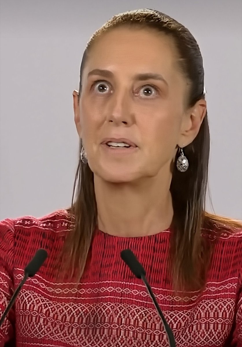 RegioPiloto's tweet photo. ¿Qué pasará por su cabeza? https://t.co/MqWJcAj5Gf