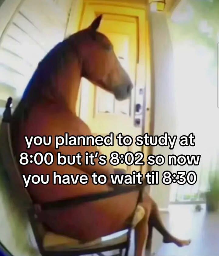 ADHDForReal's tweet photo. https://t.co/vkXmup8WHc