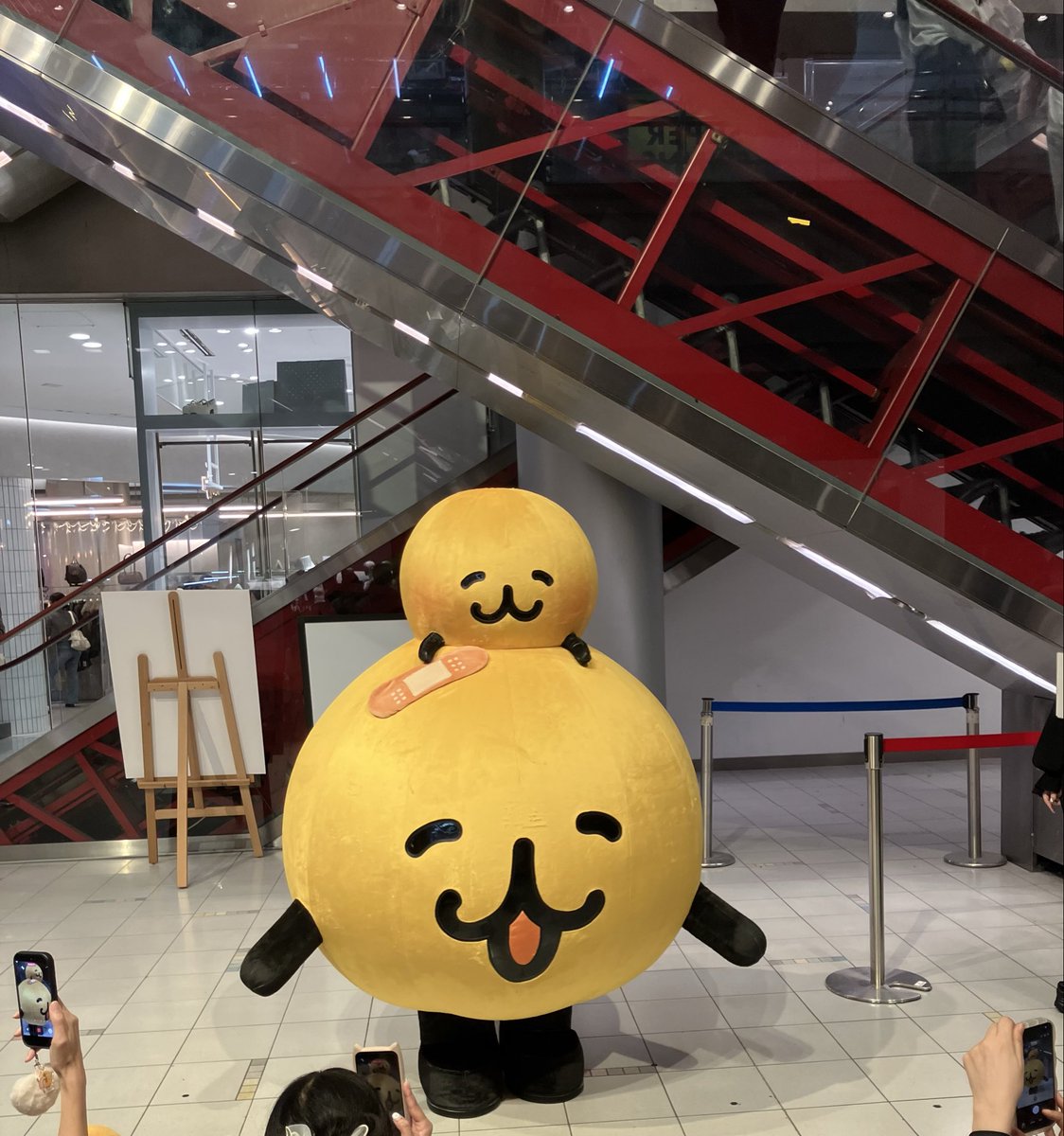 tigewakame's tweet photo. 本日の梅田ポップアップ店外編🥹🫰

今日も生きてて良かった🥹🫶 https://t.co/7guM4yCJrQ