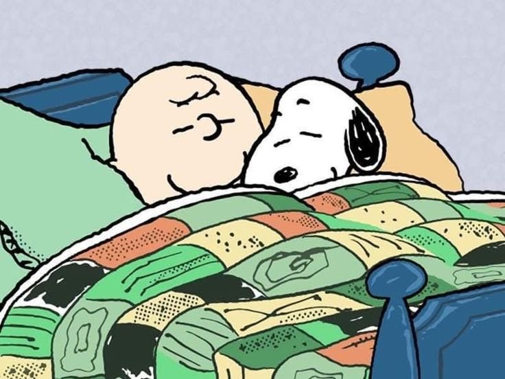 realsnooopy's tweet photo. https://t.co/TC8itI4EMP
