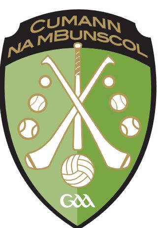 LimerickGAAzine's tweet photo. St Brigid's NS meet Gaelscoil Sairséal at 11 a.m. in the Under 13 B girls' final at @LITgaelicground  on Monday Oct 19th. https://t.co/ZHf0xG7Yiv