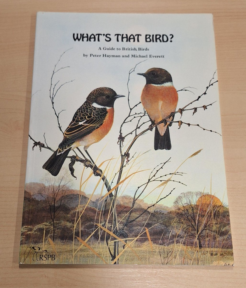 OrkneyLibrary's tweet photo. But to the tune of 'Who's That Girl' by Madonna. 🐦‍⬛ https://t.co/q4f7tDX9On