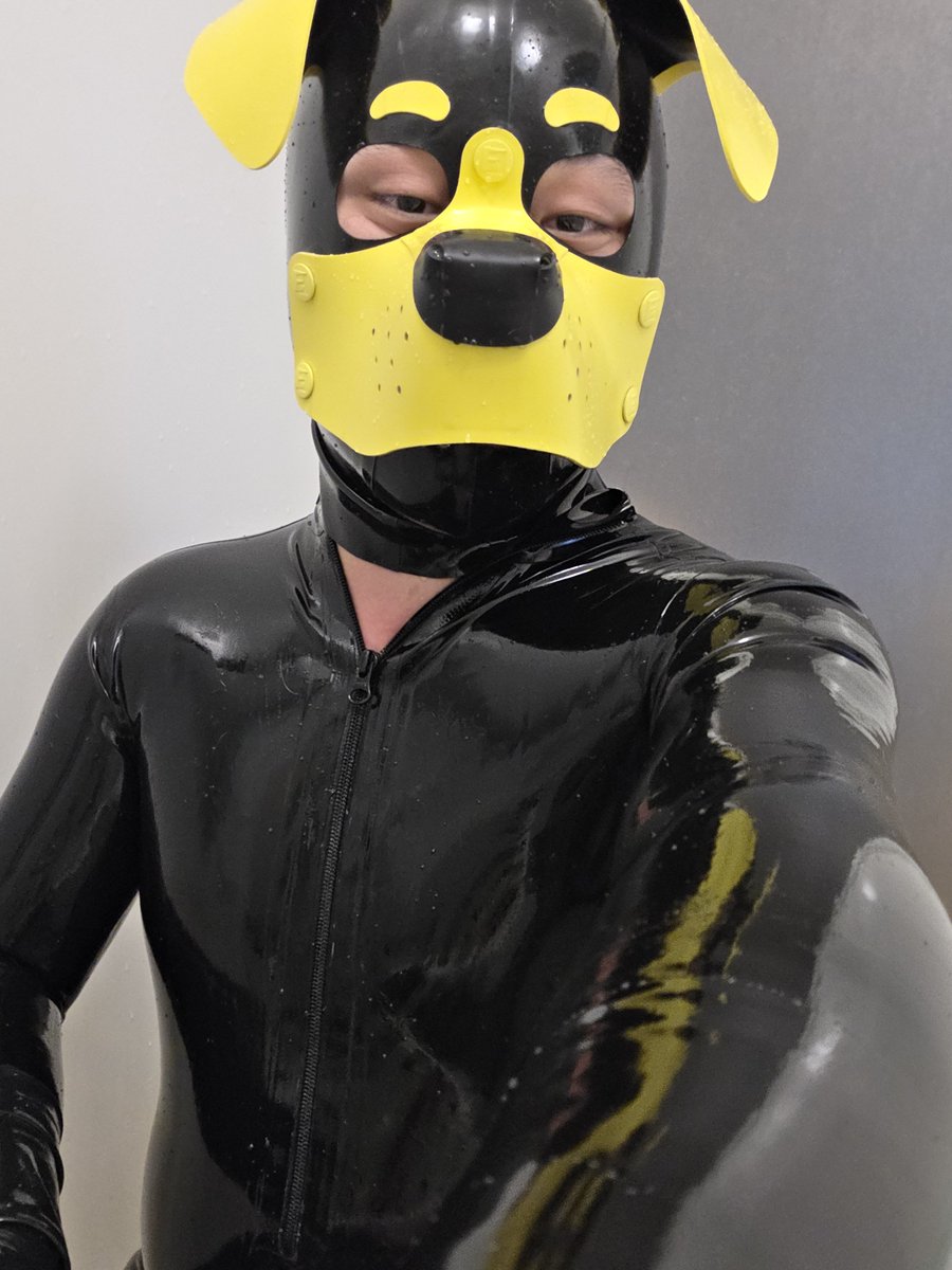 zentai_kumamoto's tweet photo. 同じラバーフェチの人と会いたい…
#ラバー https://t.co/SX5eleaNKu