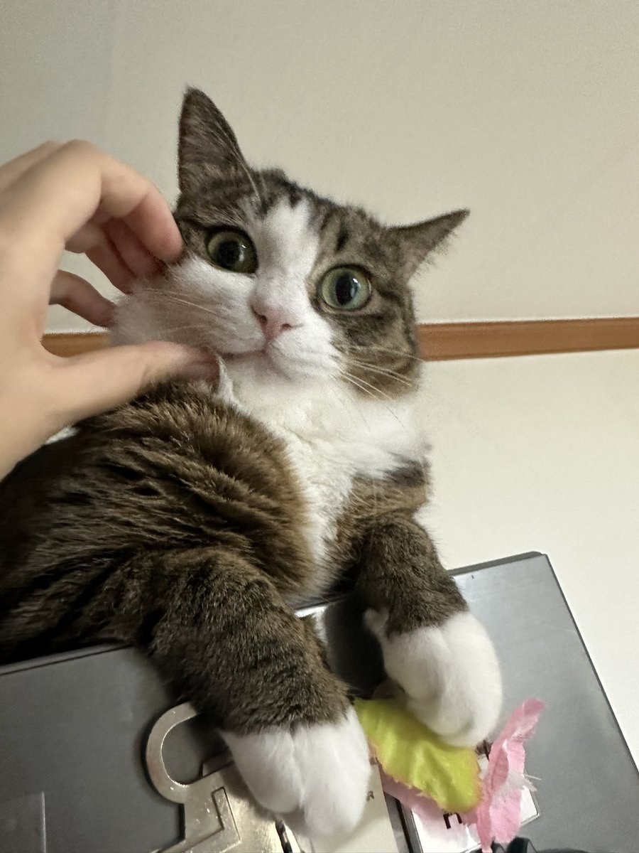 ppuri0921 tweet picture