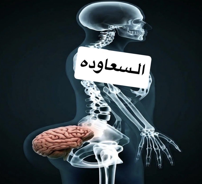 aaaaljunibi's tweet photo. @sdjo89 واضح مضغوطه موتي بس 🥺 https://t.co/oDYvdfJa48